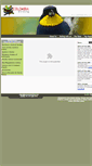 Mobile Screenshot of colombiabirding.com